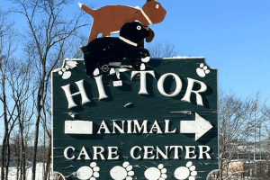 hi tor animal shelter kill