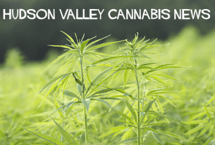 Hudson Valley Cannabis News
