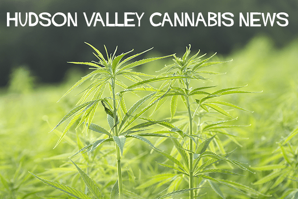 FAQs About Cannabis in Massachusetts - Happy Valley