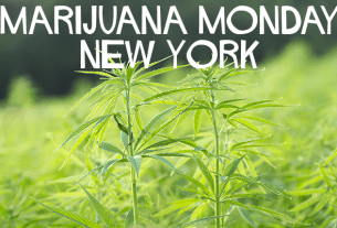 Hudson Valley Cannabis News