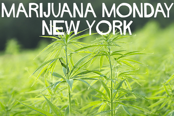 Hudson Valley Cannabis News