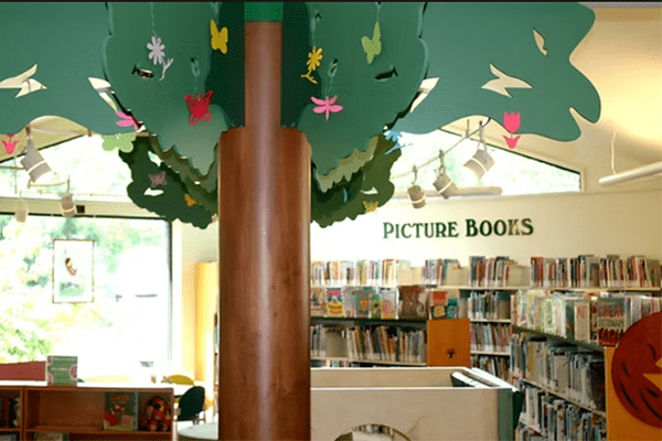 Valley Cottage Library