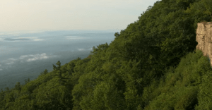 Image: NYSDEC