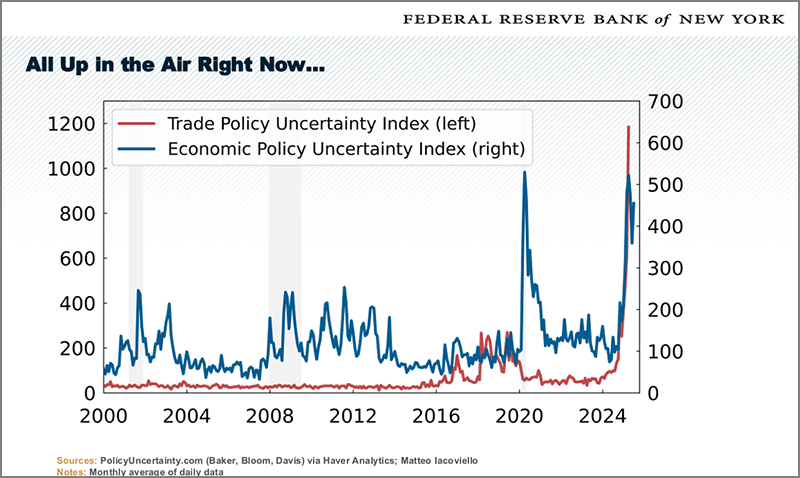Uncertainty Indexes