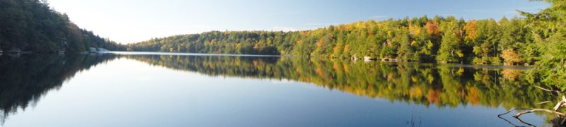 Minneswaska